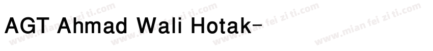 AGT Ahmad Wali Hotak字体转换